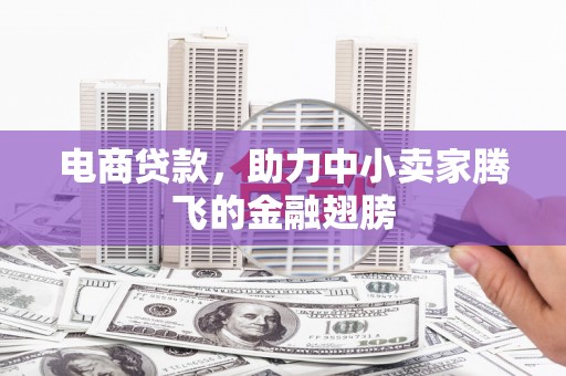 海阳电商贷款，助力中小卖家腾飞的金融翅膀
